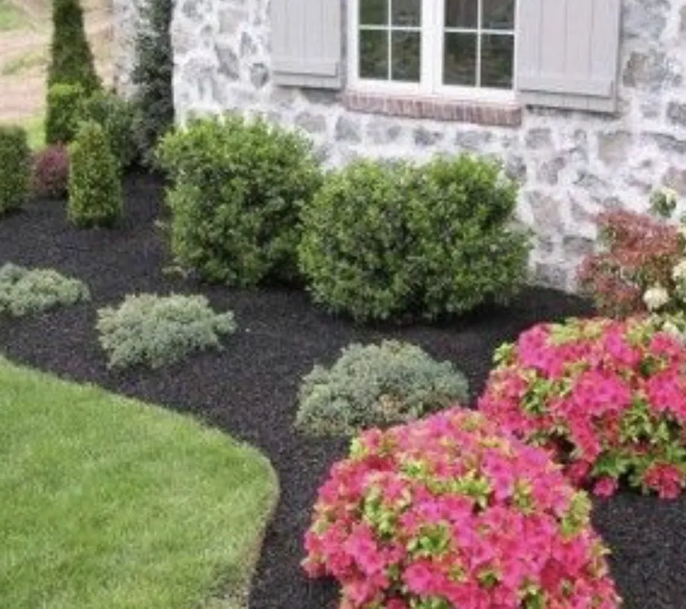 Reliable yard cleanup service experts serving Youngsville, NC - Garden landscaping