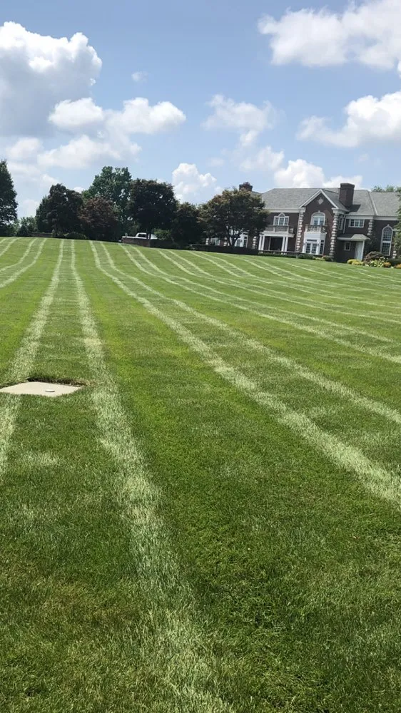 Local lawn care service for homes in Plainfield, NJ by Garden Lawn Maintenance