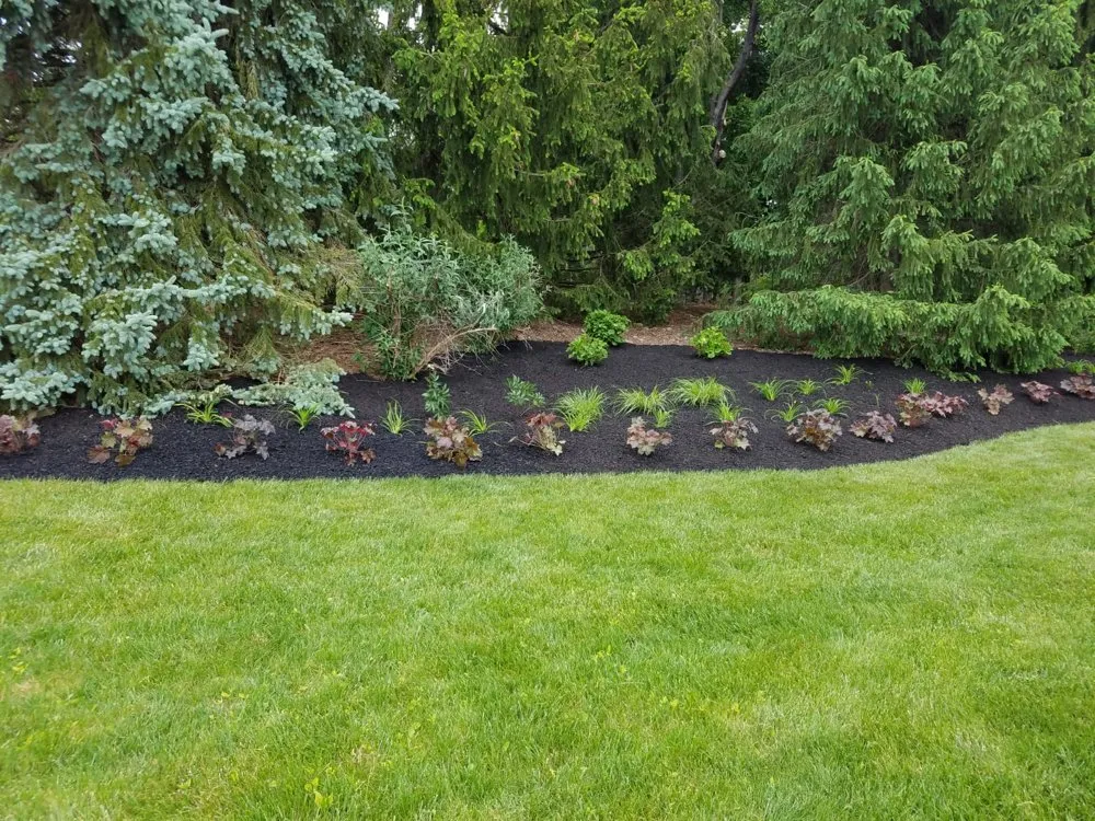 Affordable lawn care service for homes across Plainfield, NJ - Garden Lawn Maintenance