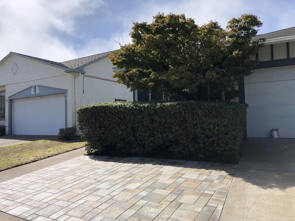 Top-rated landscape design for year-round maintenance across Redwood City, CA - Garden Life