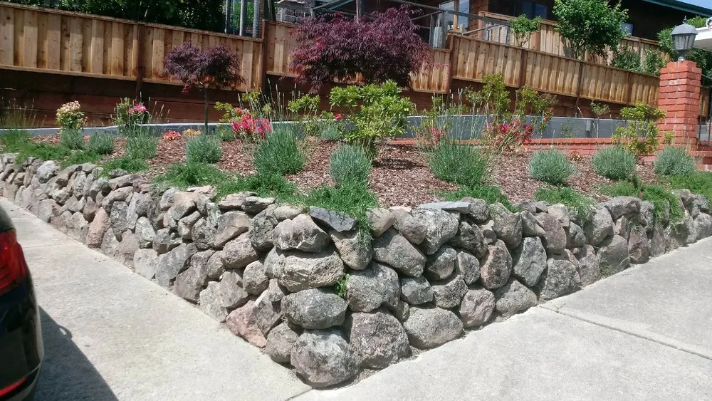 Trusted yard cleanup service experts serving Redwood City, CA - Garden Life