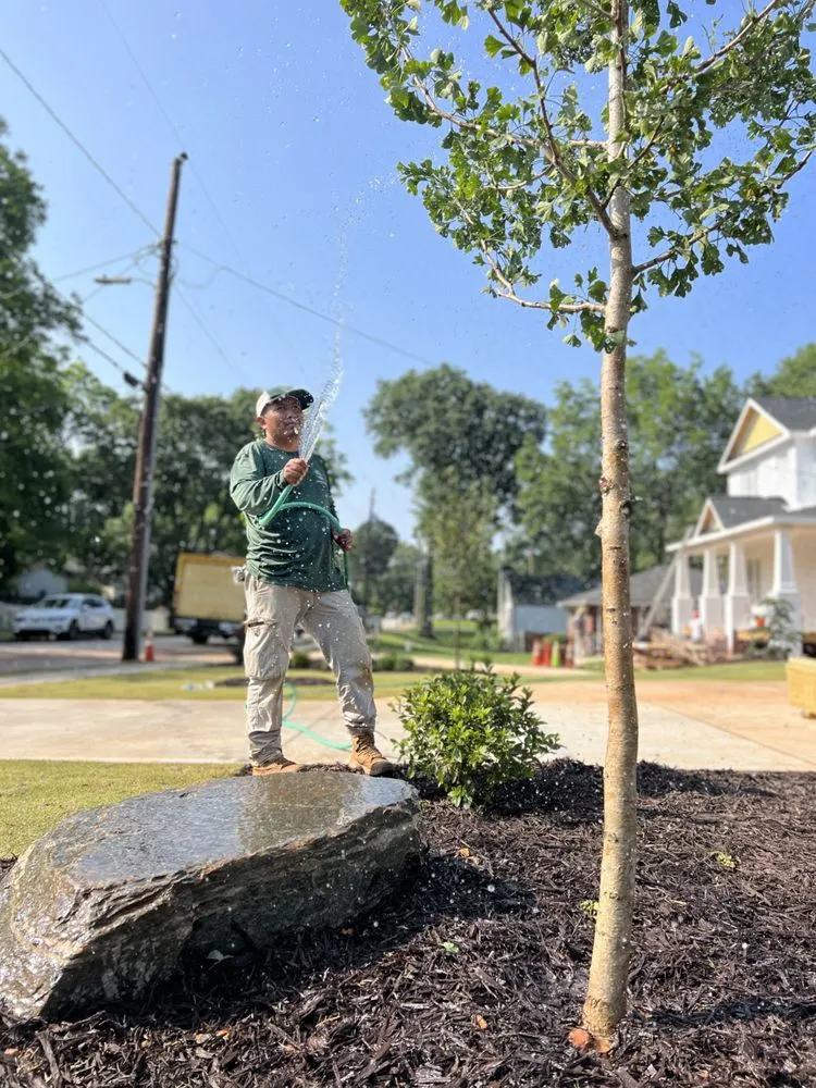 Custom yard cleanup service in Decatur, GA - Garden Lights Landscaping