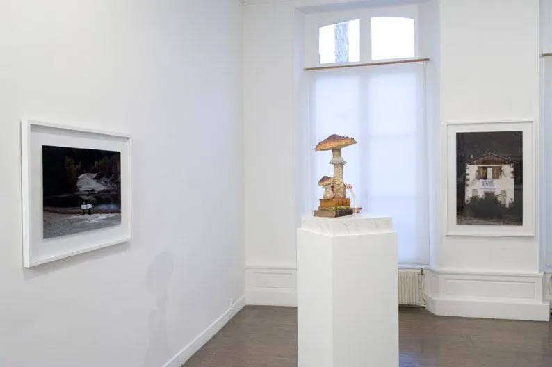 Affordable yard maintenance in Decatur, GA - Garden Lights Landscaping