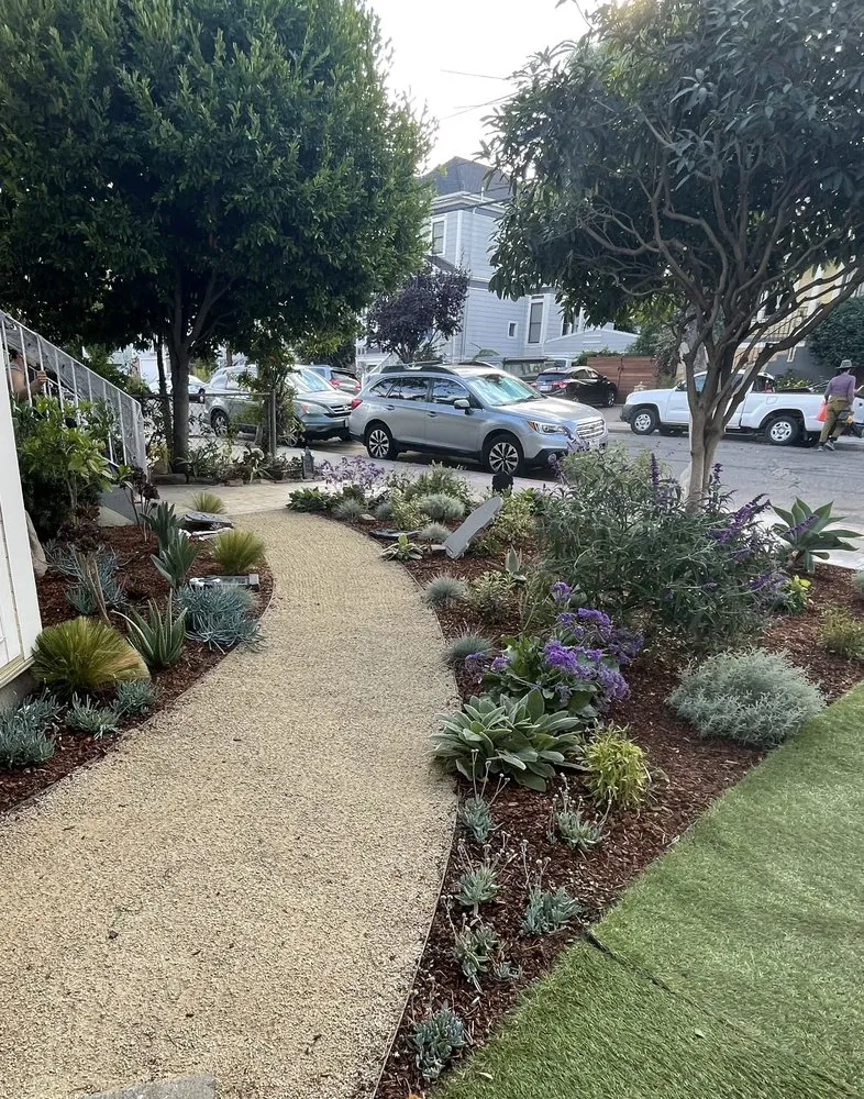 Top-rated yard maintenance experts serving Alameda, CA - Garden Mamas