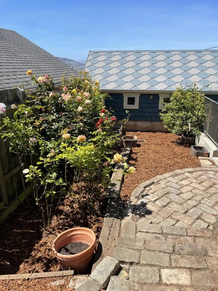 Top-rated lawn care service with custom design across Alameda, CA - Garden Mamas