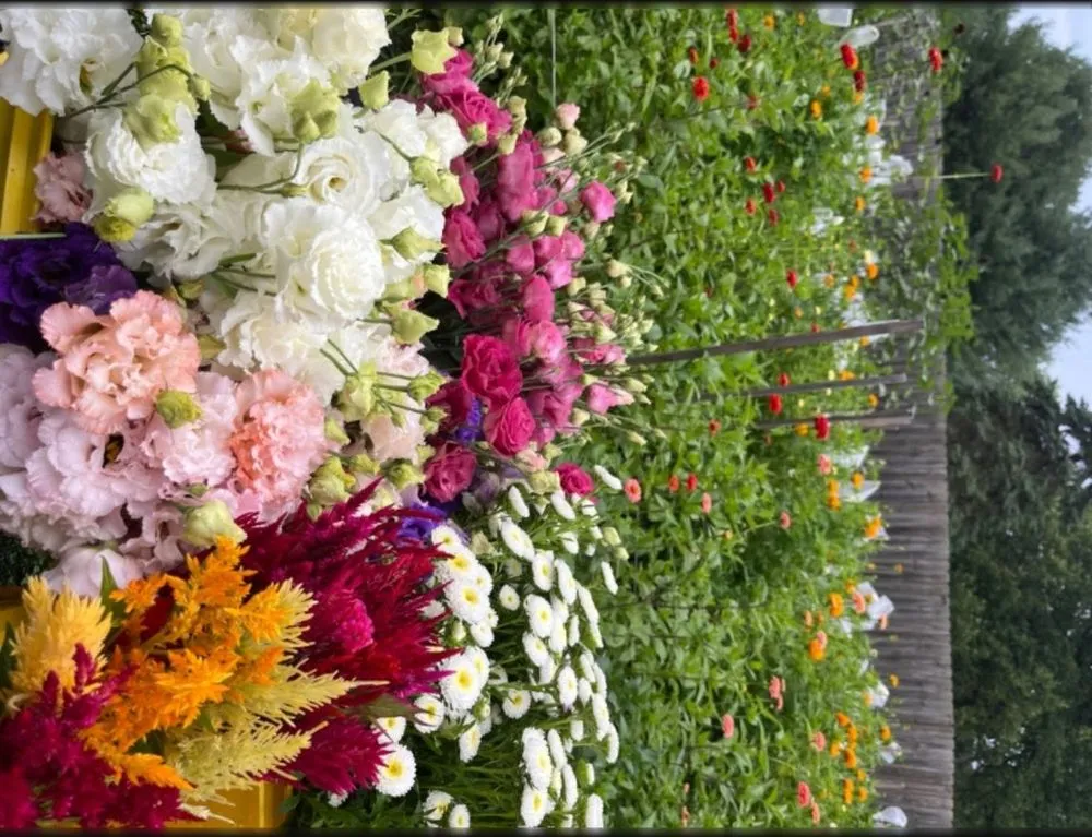 Affordable garden landscaping in Alameda, CA - Garden Mamas