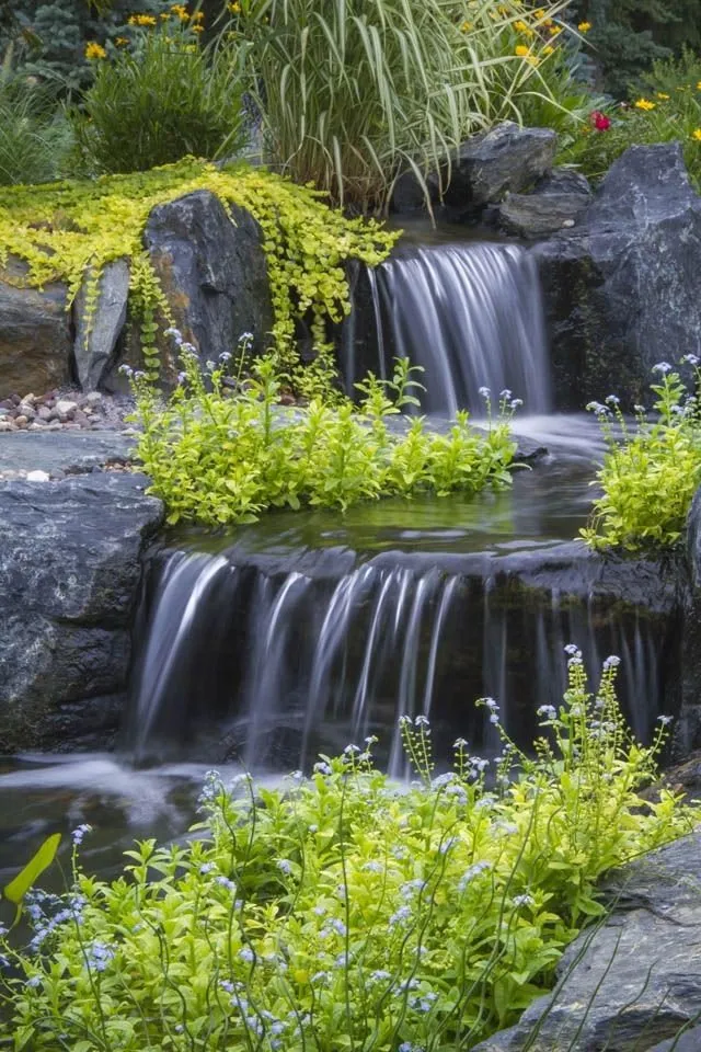 Top-rated landscape installation in Minneapolis, MN - Garden Market and Landscape