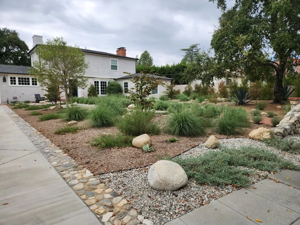 Expert yard cleanup service near you across Pasadena, CA - Garden Natives