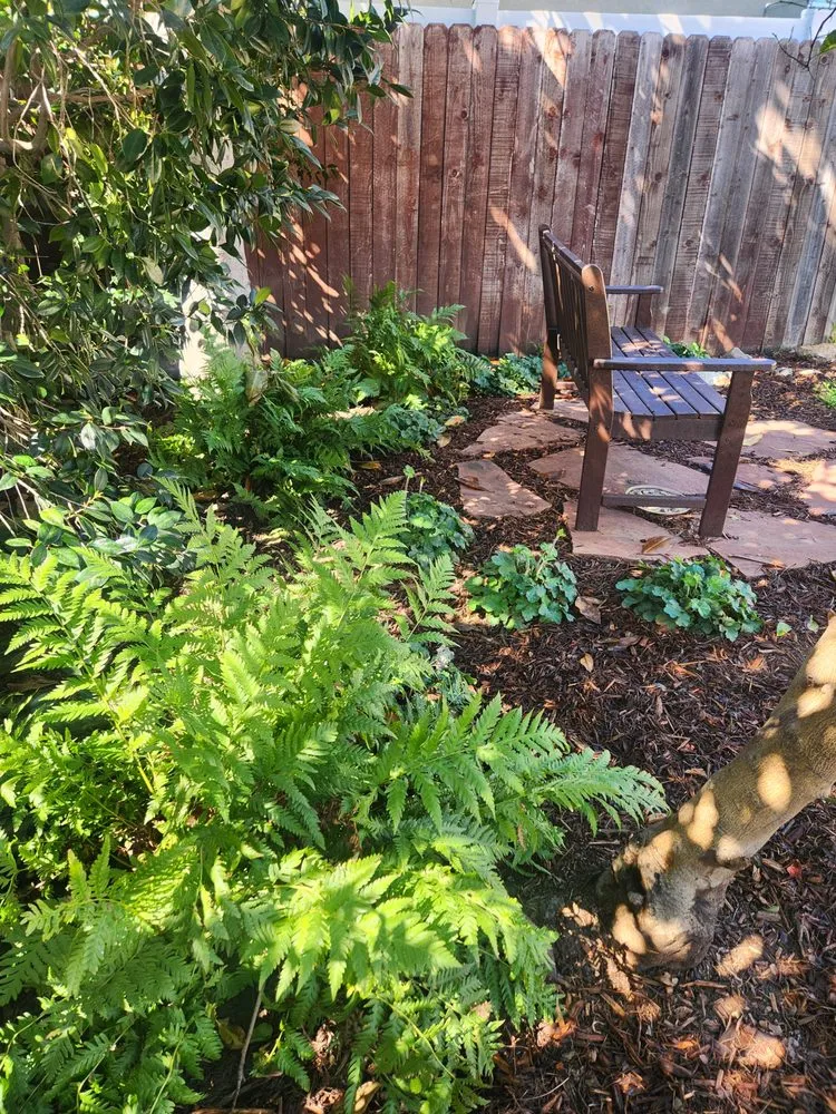 Expert yard maintenance for residential properties in Pasadena, CA by Garden Natives