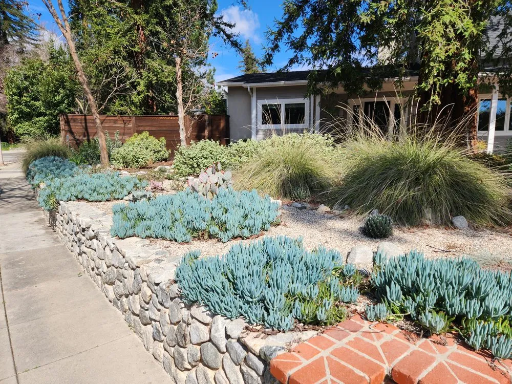 Professional landscaping services in Pasadena, CA by Garden Natives