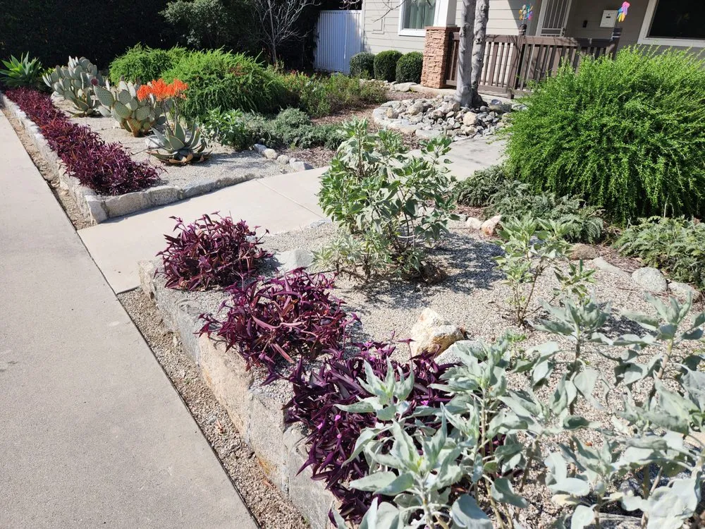 Professional residential landscaping for year-round maintenance in Pasadena, CA by Garden Natives