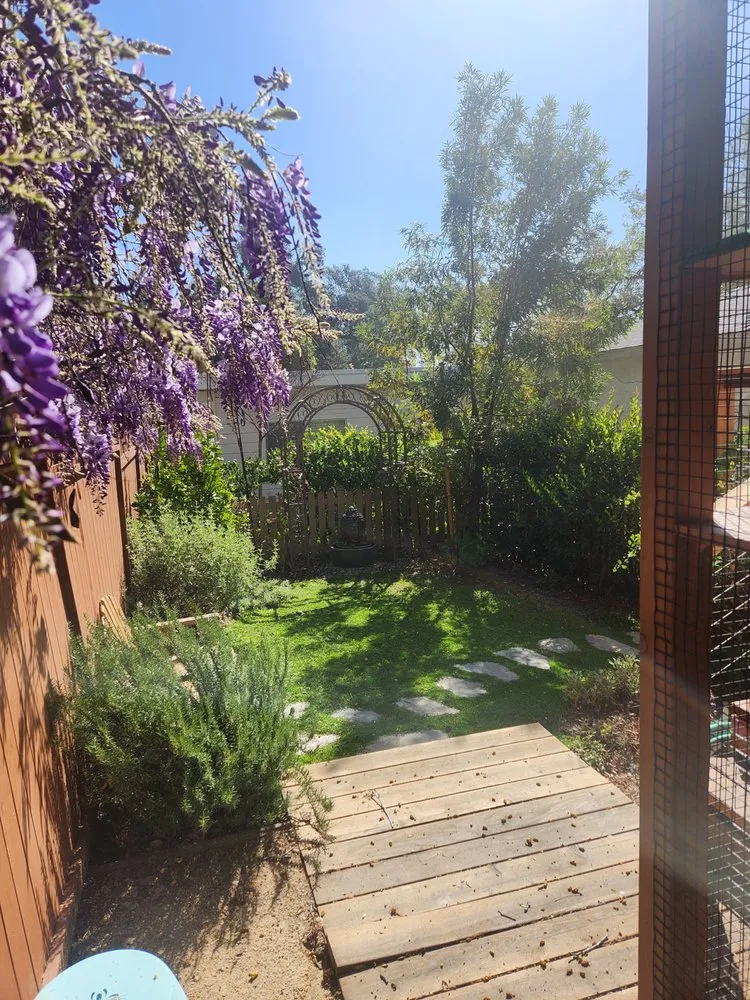 Expert garden landscaping in Pasadena, CA by Garden Natives