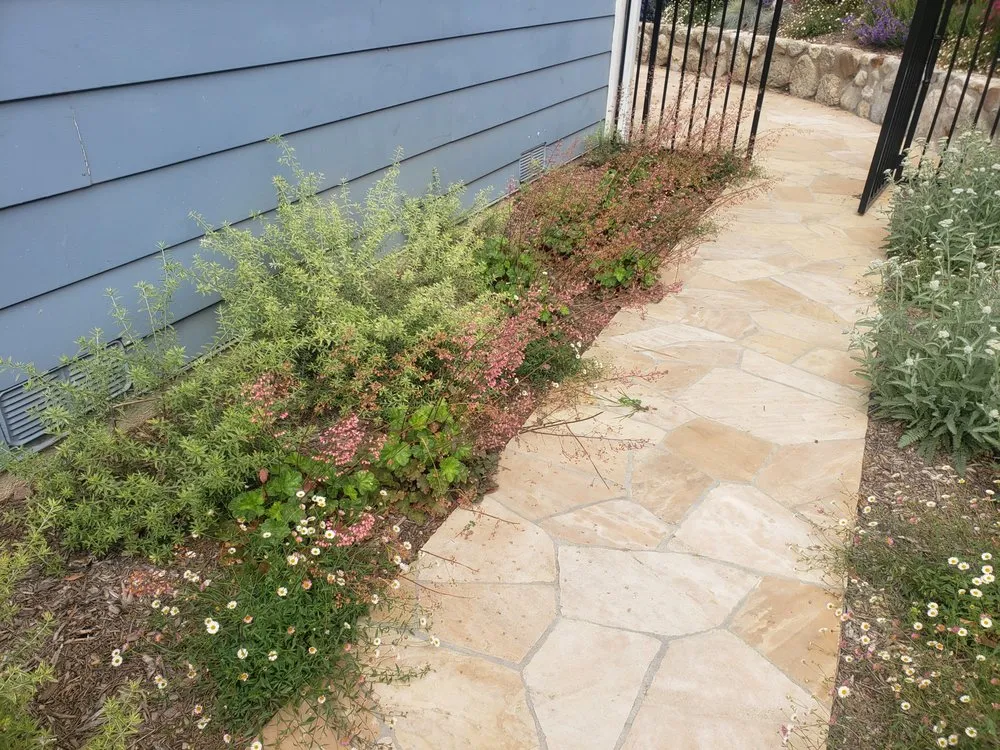 Trusted residential landscaping near you across Pasadena, CA - Garden Natives