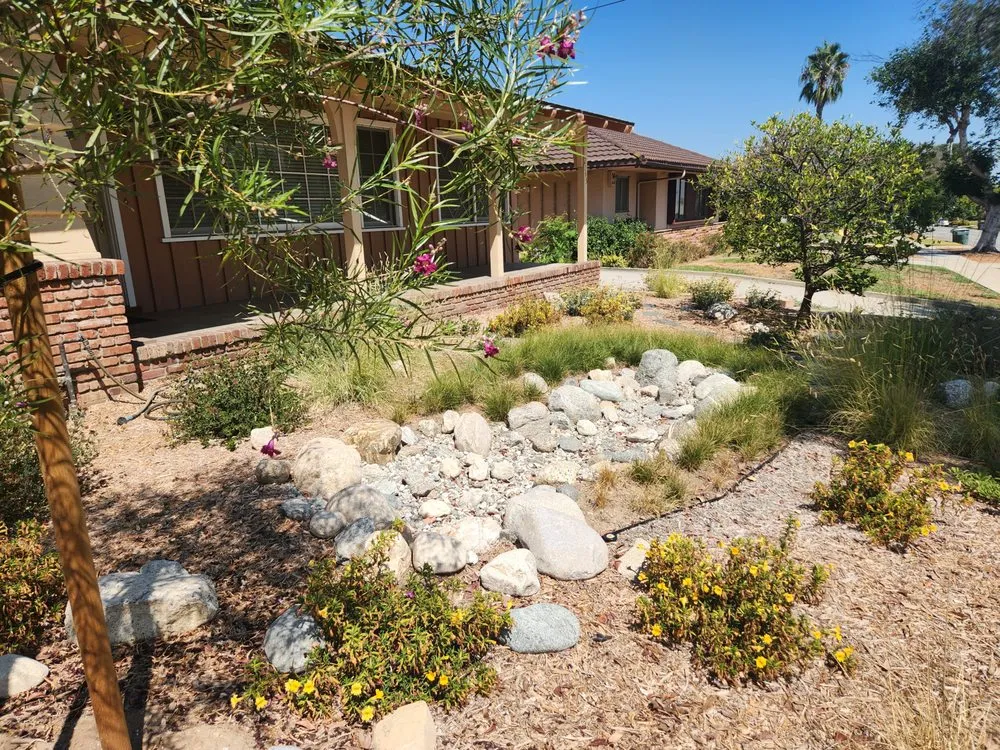 Custom landscape design in Pasadena, CA by Garden Natives