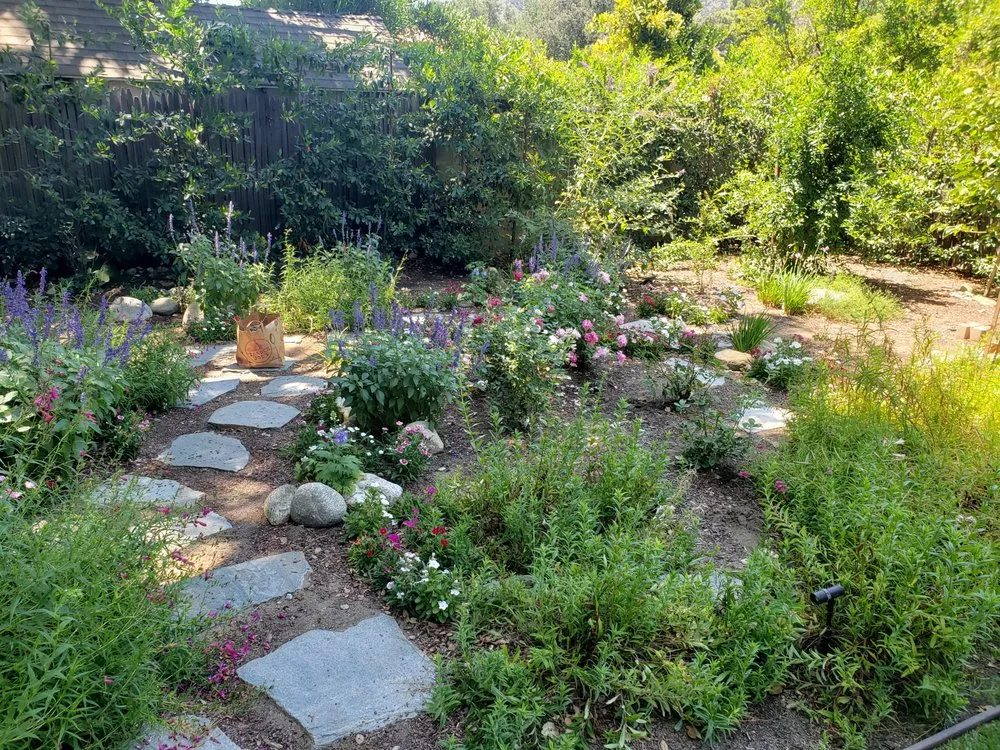 Trusted landscaping services for residential properties in Pasadena, CA by Garden Natives