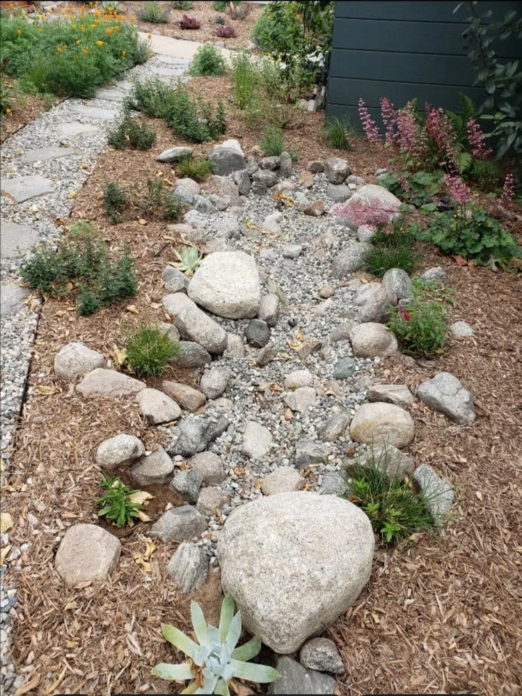 Expert garden landscaping experts serving Pasadena, CA - Garden Natives