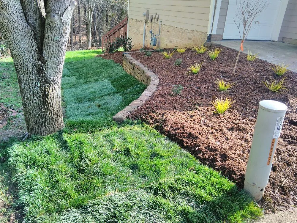 Reliable yard cleanup service for year-round maintenance across Apex, NC - Garden Ninjas