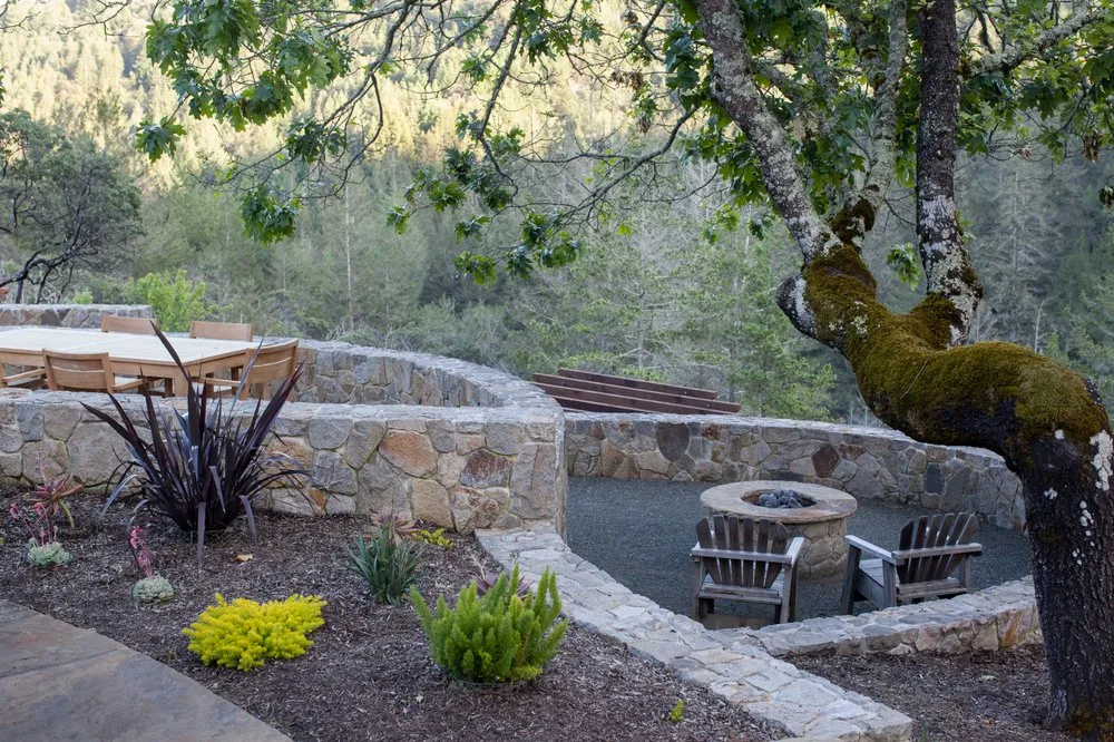 Expert yard cleanup service in Sebastopol, CA by Garden of Ease