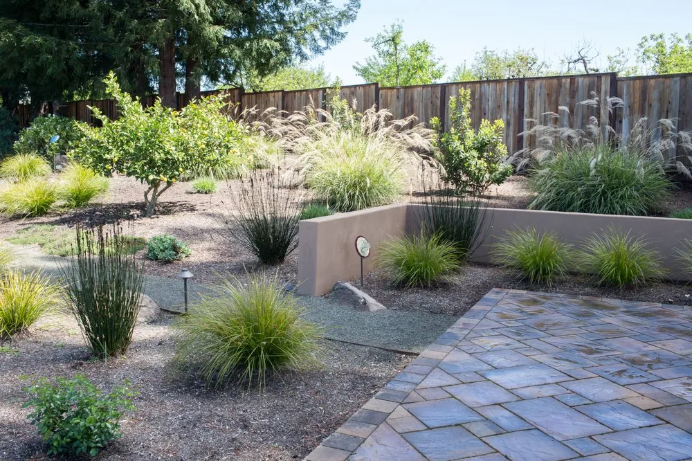 Professional yard maintenance in Sebastopol, CA - Garden of Ease