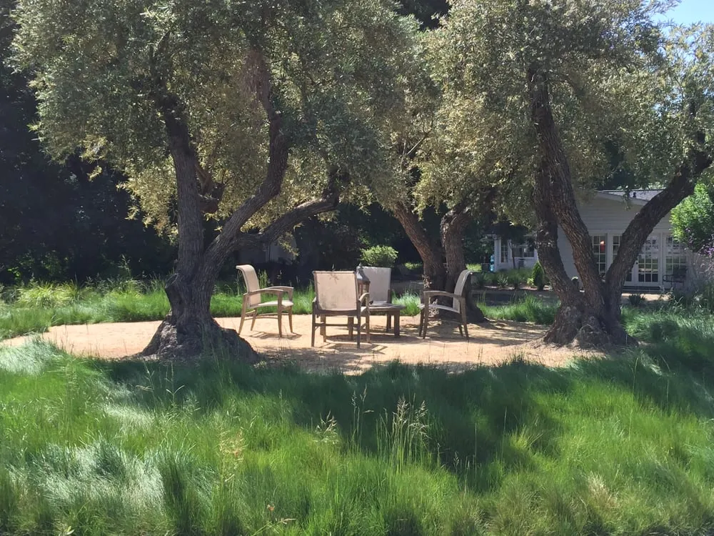 Expert landscape design experts serving Sebastopol, CA - Garden of Ease