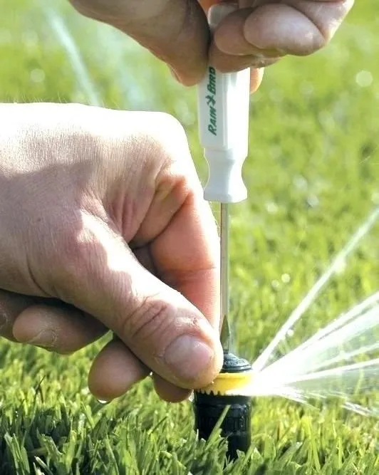 Affordable landscape installation for outdoor upgrades in Canoga Park, CA by Garden Of Eden 524