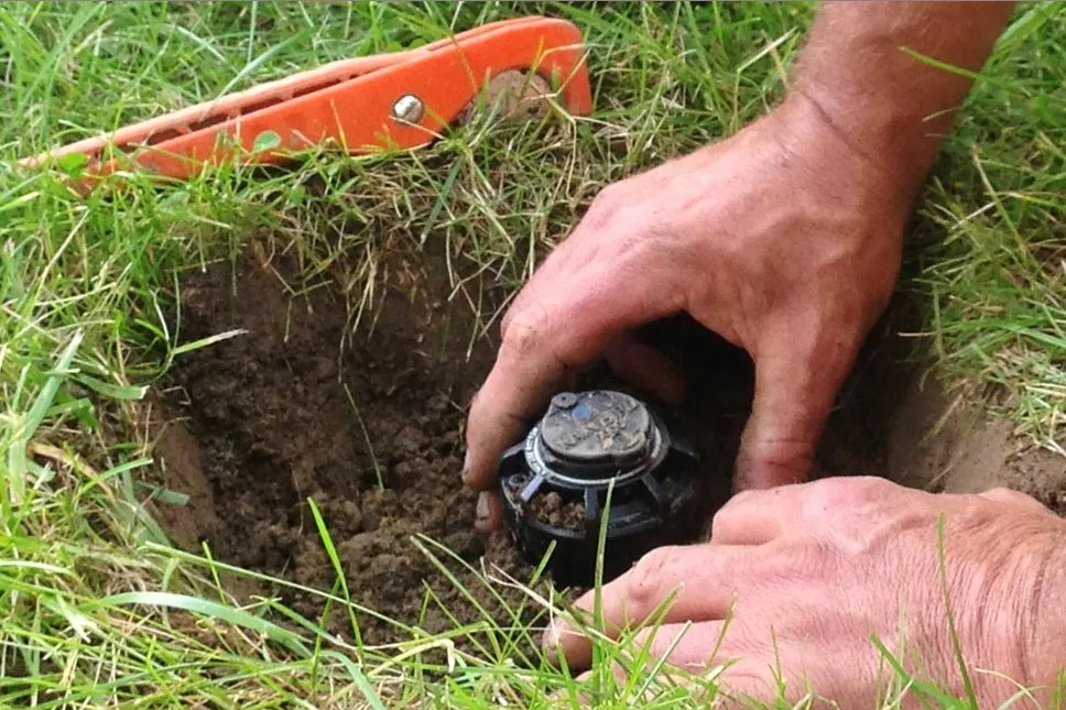 Reliable lawn care service for residential properties in Canoga Park, CA by Garden Of Eden 524