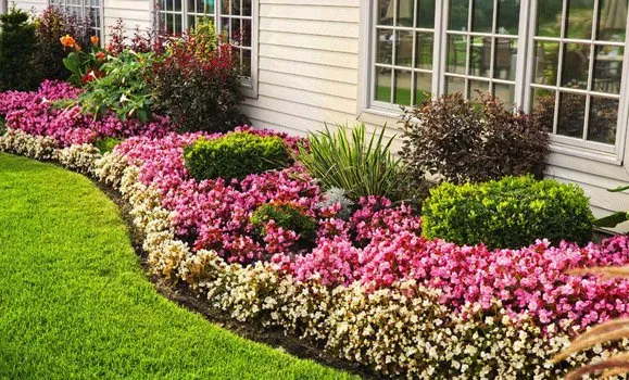 Trusted yard cleanup service experts serving Fair Lawn, NJ - Garden Of Eden