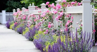 Affordable lawn care service experts serving Fair Lawn, NJ - Garden Of Eden