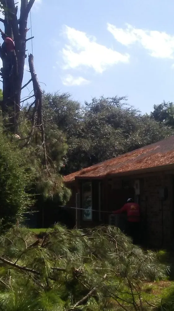 Expert landscape design in Grapevine, TX by Garden of Eden Landscaping & Maintenance