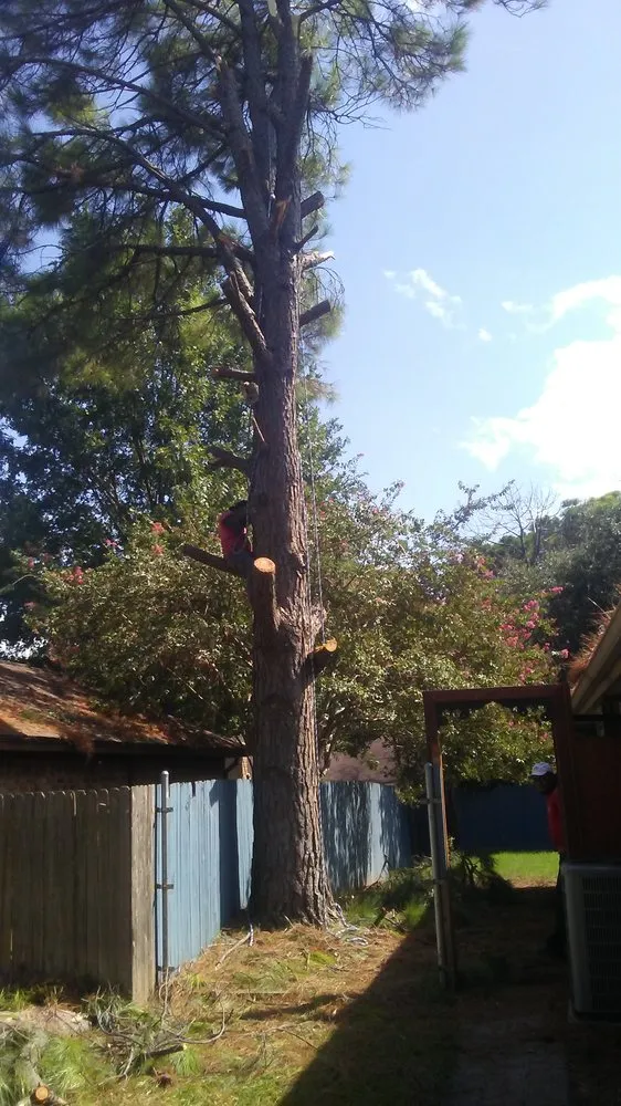 Trusted residential landscaping near you in Grapevine, TX by Garden of Eden Landscaping & Maintenance