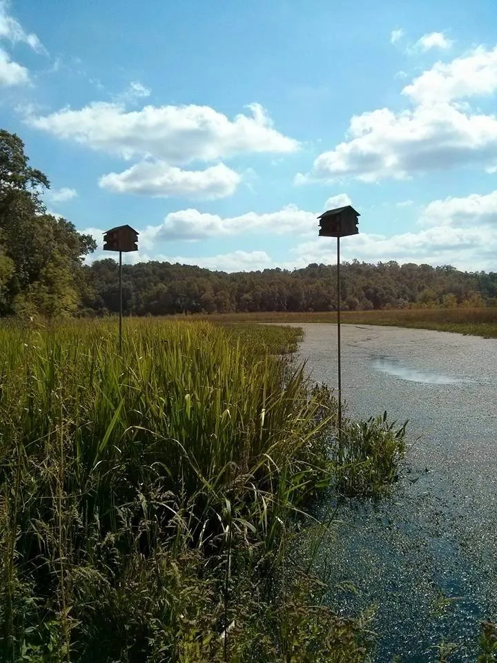 Custom landscaping services near you in Fredericksburg, VA by Garden of Eden Landscaping