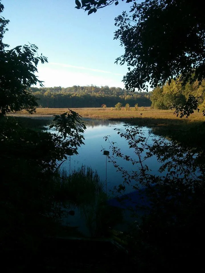 Professional outdoor landscaping for year-round maintenance in Fredericksburg, VA by Garden of Eden Landscaping