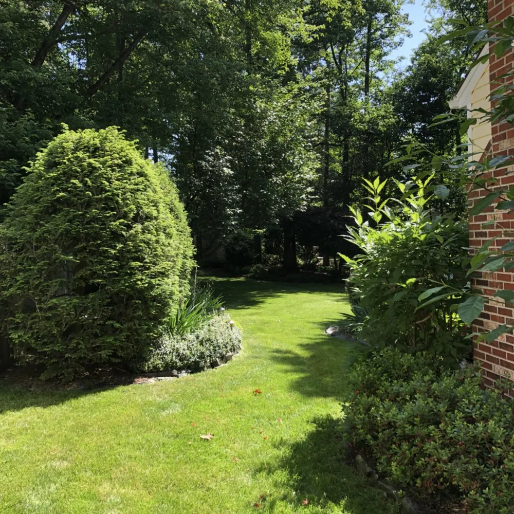 Reliable garden landscaping in Fredericksburg, VA - Garden of Eden Landscaping