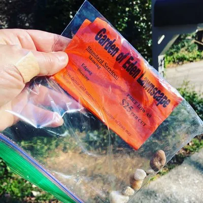 Garden of Eden Landscaping Logo