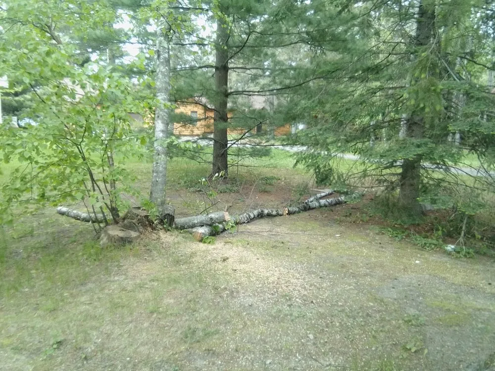 Local landscaping services in Park Rapids, MN - Garden Of Eden Tree Care and Landscaping