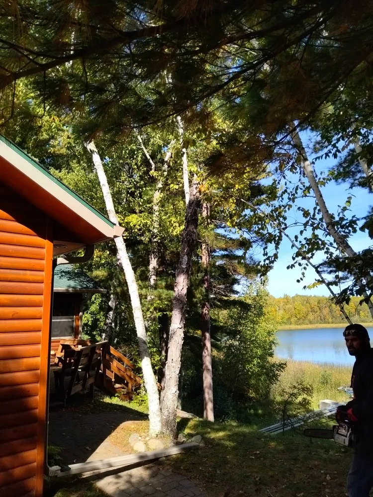 Expert yard cleanup service experts serving Park Rapids, MN - Garden Of Eden Tree Care and Landscaping