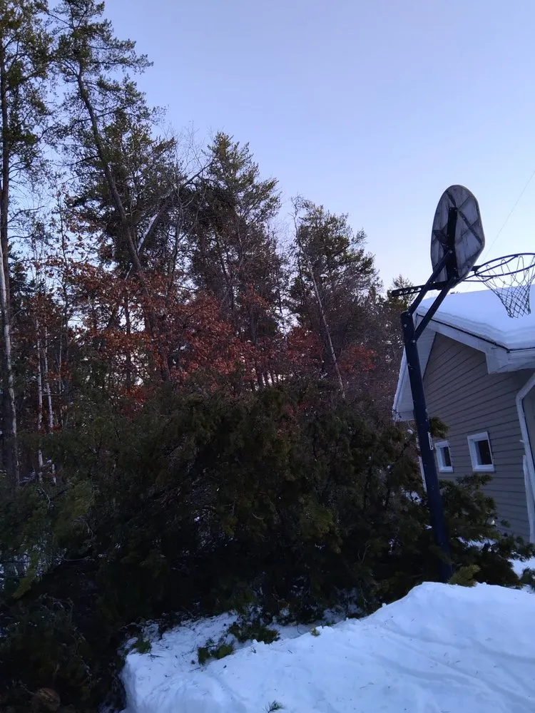 Trusted lawn care service in Park Rapids, MN - Garden Of Eden Tree Care and Landscaping