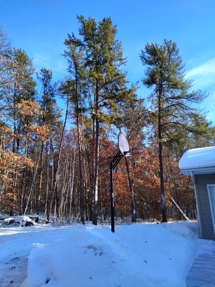 Professional landscape installation experts serving Park Rapids, MN - Garden Of Eden Tree Care and Landscaping