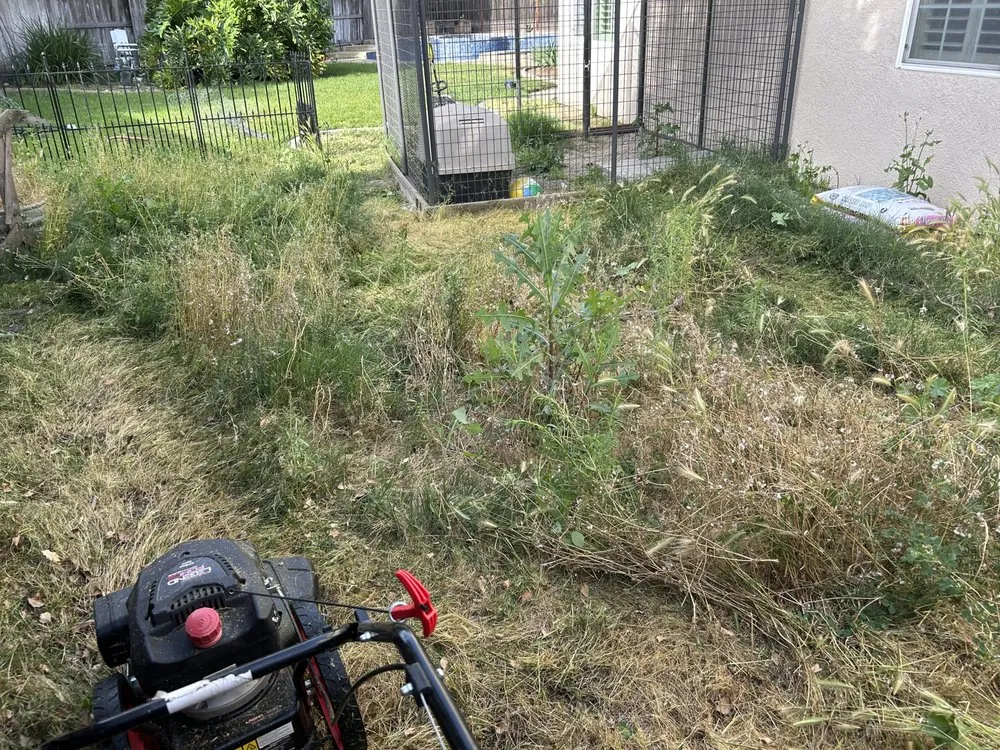 Professional lawn mowing service with custom design in Stockton, CA by Garden of Eden Yard Services