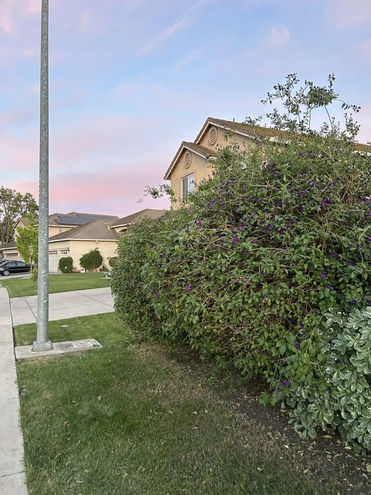 Top-rated residential landscaping for year-round maintenance across Stockton, CA - Garden of Eden Yard Services