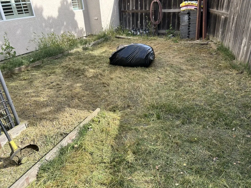 Local landscape design for year-round maintenance across Stockton, CA - Garden of Eden Yard Services