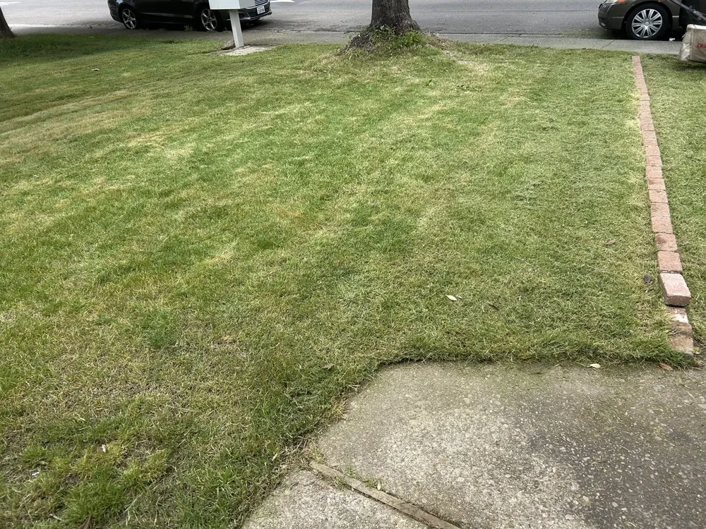 Professional residential landscaping experts serving Stockton, CA - Garden of Eden Yard Services