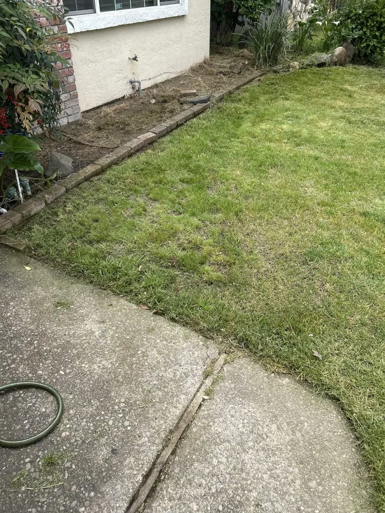 Top-rated yard maintenance for outdoor upgrades across Stockton, CA - Garden of Eden Yard Services