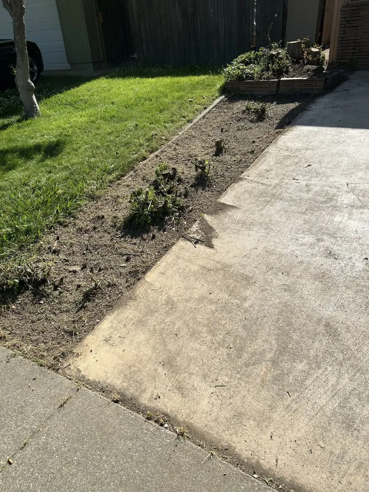 Custom landscaping services in Stockton, CA - Garden of Eden Yard Services