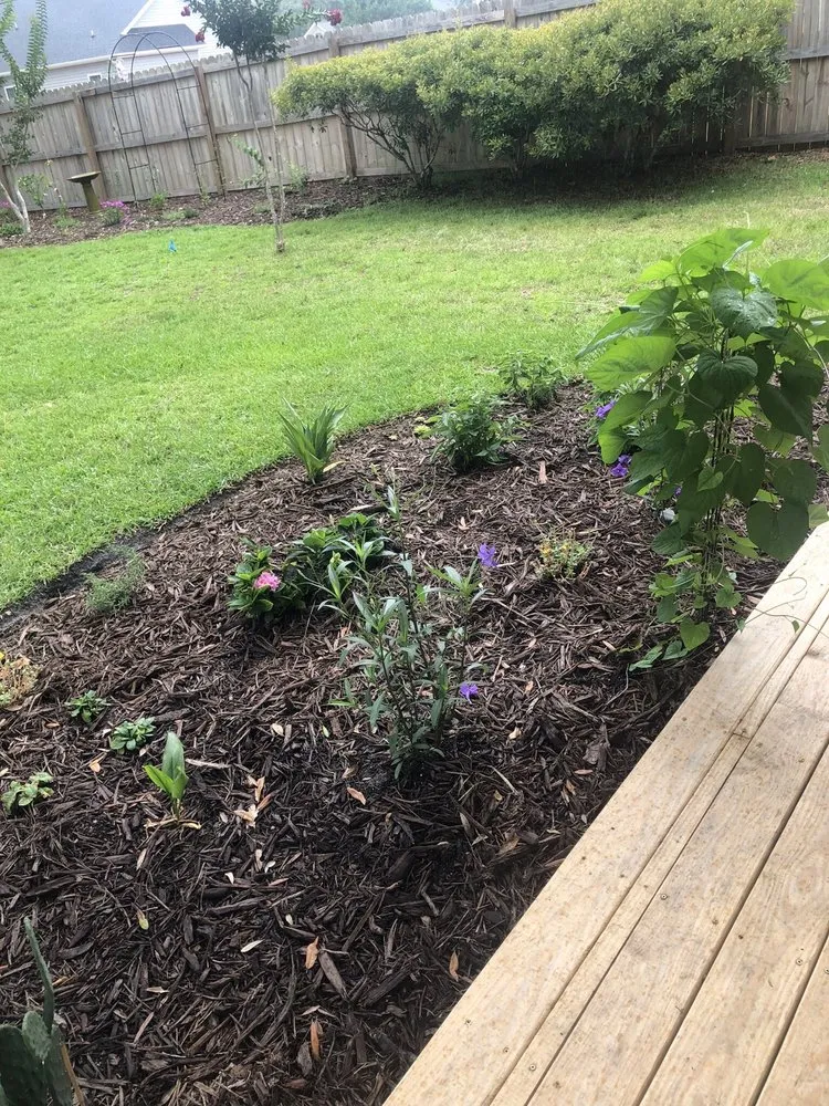 Top-rated lawn mowing service for beautiful yards across Loris, SC - Garden of Eva