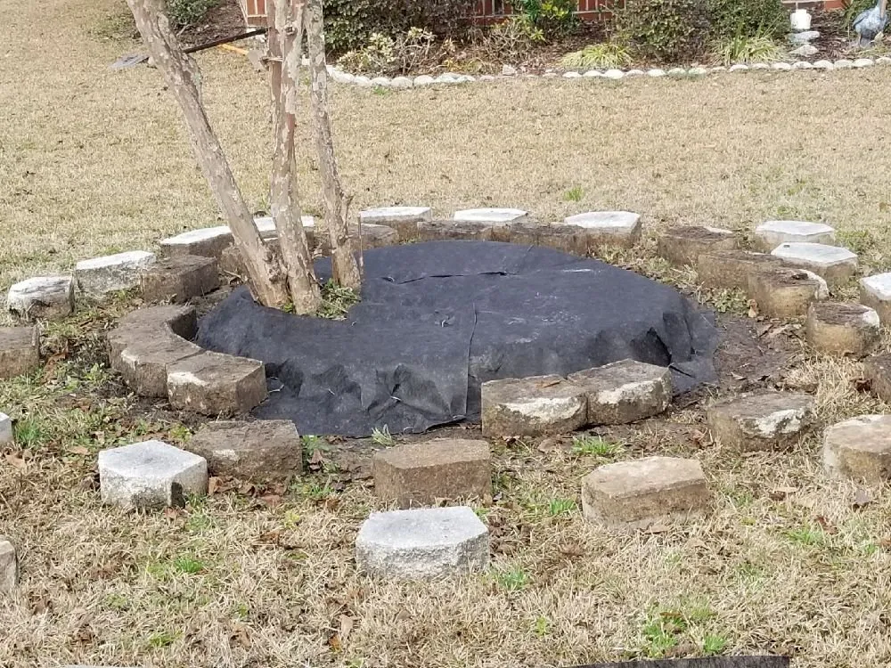 Custom yard cleanup service for beautiful yards across Loris, SC - Garden of Eva