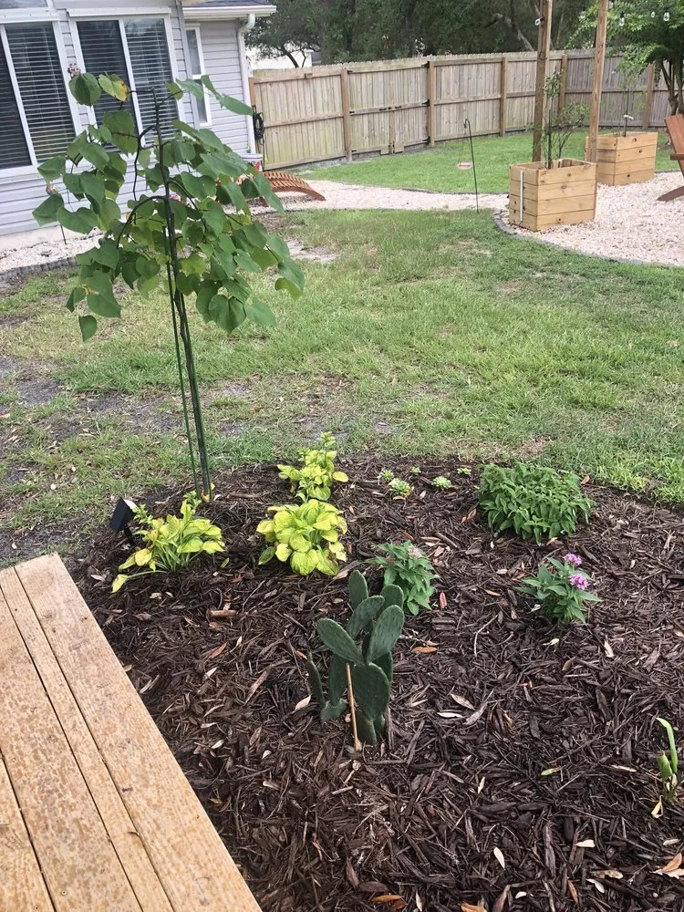 Top-rated landscape installation for beautiful yards across Loris, SC - Garden of Eva