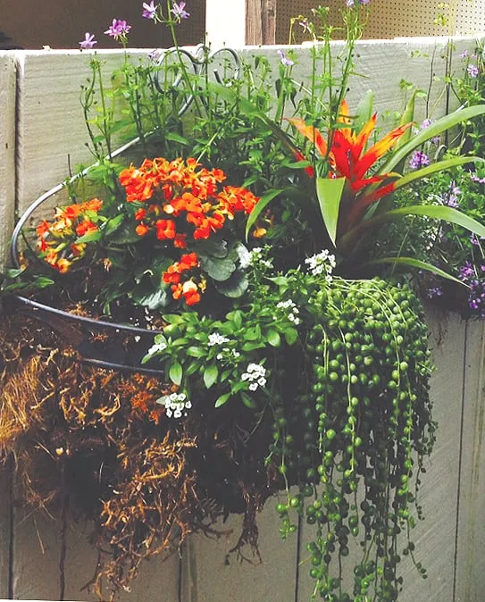 Custom yard maintenance for beautiful yards across Long Beach, CA - Garden of O