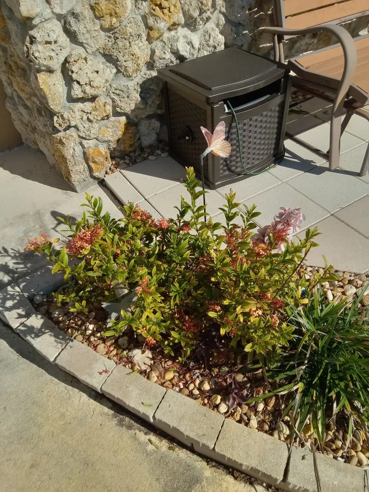 Local residential landscaping in Immokalee, FL - Garden of Paradise