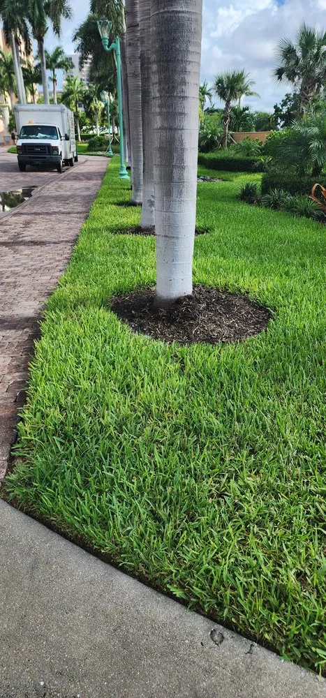 Reliable yard maintenance near you across Immokalee, FL - Garden of Paradise